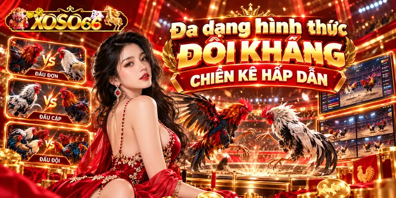 Đa dạng hình thức đối kháng chiến kê hấp dẫn