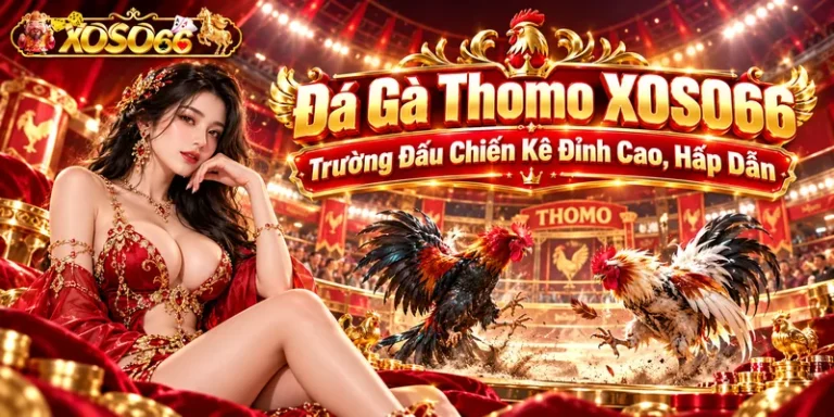Đá Gà Thomo Xoso66 – Trường Đấu Chiến Kê Đỉnh Cao, Hấp Dẫn