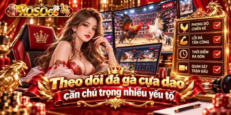 Theo dõi đá gà cựa dao cần chú trọng nhiều yếu tố